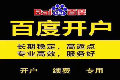竞价广告策略案例分析